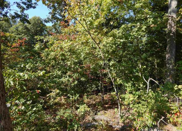 Property at Lot 39 Wallace Cemetery Ln, Gilbertsville, KY 42044