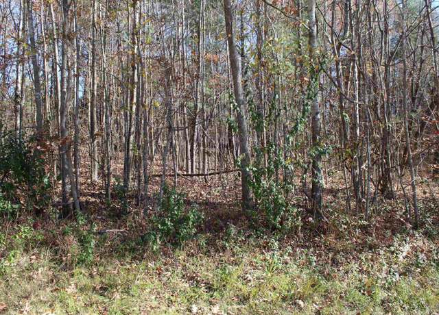 Property at 000 Backstrom Heights Rd, Eddyville, KY 42038