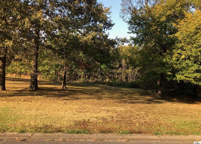 Property at Lots 48 & 49 Masters Dr, Mayfield, KY 42066