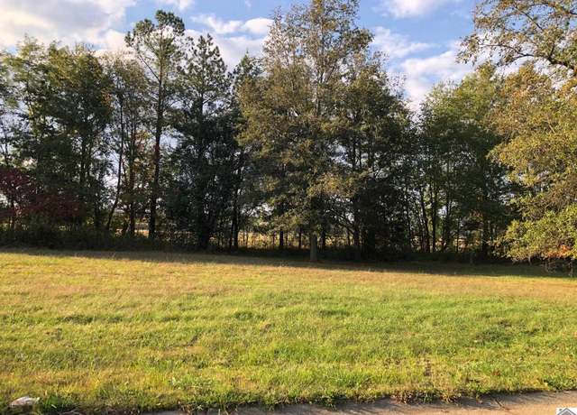Property at Lot 42 Masters Dr, Mayfield, KY 42066