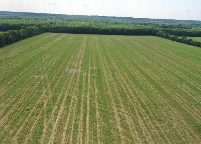 Property at 0 Dogtown Rd, Benton, KY 42025