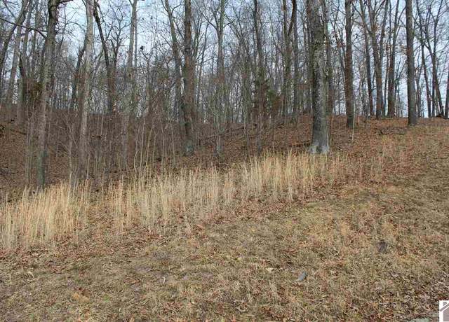 Property at Lot 35 Roy Harris Rd, Kuttawa, KY 42055