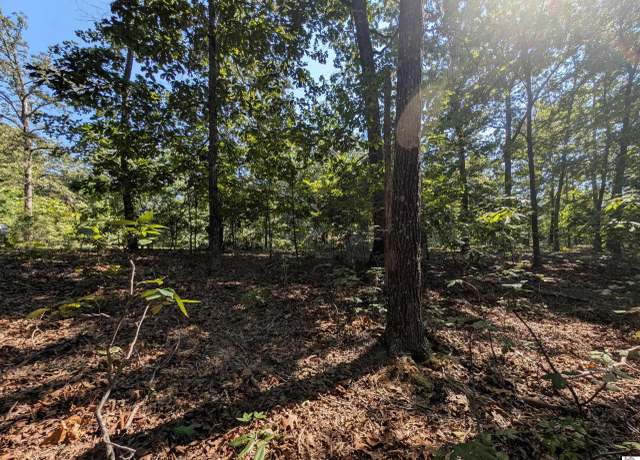 Property at Lot 130 Eagle Look Ln, Murray, KY 42071