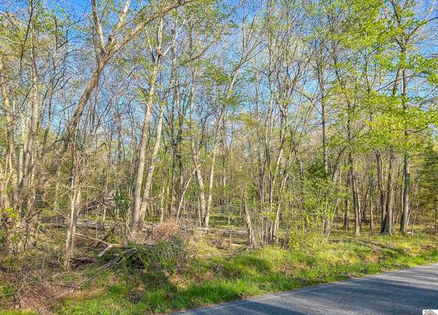 Property at 00 Ft. Leisure Trl, Gilbertsville, KY 42044