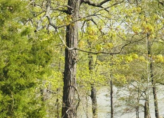 Property at Lot # 8 Tradition Dr, Benton, KY 42025