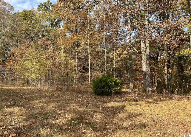 Property at Lot 24 Haynes Cemetery Rd, Murray, KY 42071