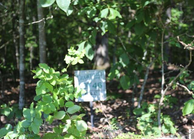 Property at Lot 46 Bayridge Rd, New Concord, KY 42076