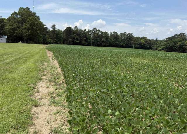 Property at 12184 Ky 97, Farmington, KY 42040