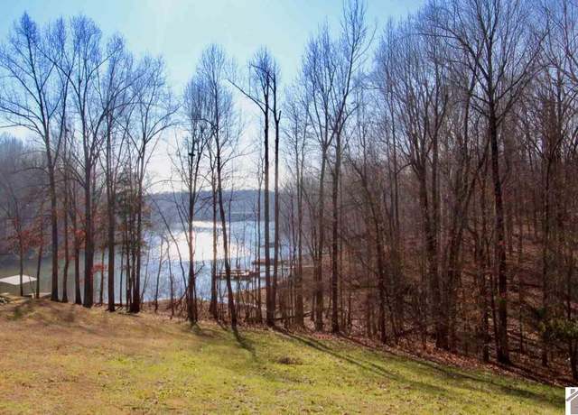 Property at Lot #37 E Cobblestone Ct, Kuttawa, KY 42055