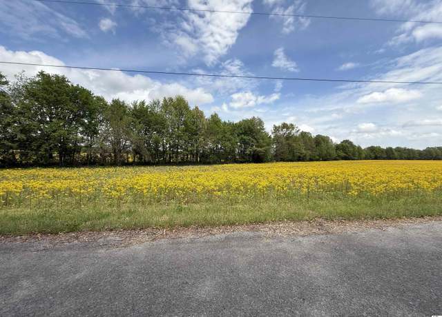 Property at 2201 State Route 1241, Hickory, KY 42051