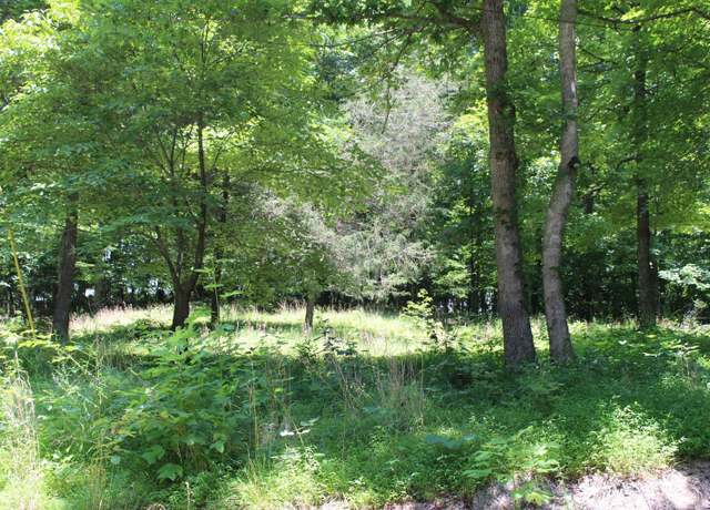 Property at 000 Perry Springs Rd, Eddyville, KY 42038