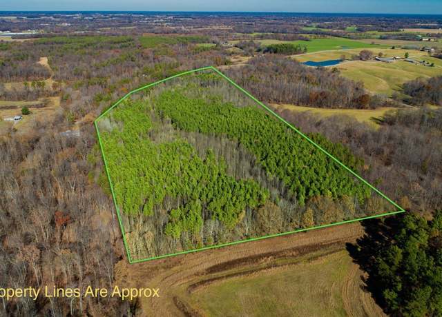 Property at Protemus Rd, Farmington, KY 42020