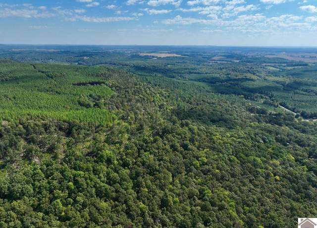 Property at 000 State Route 1433, Salem, KY 42078