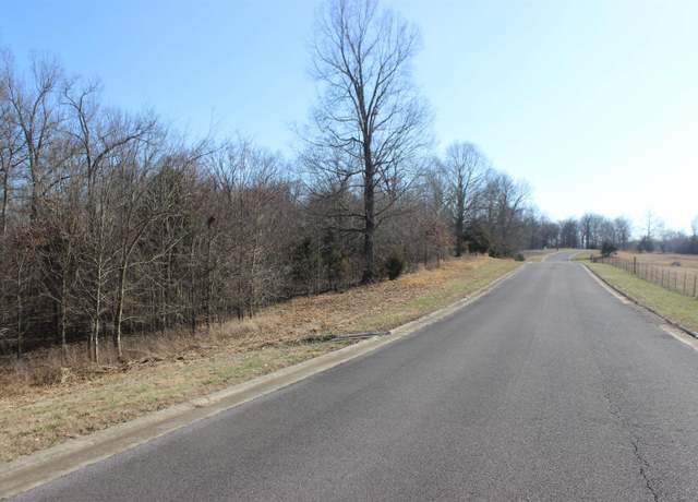 Property at 000 Palmer Dr - Lot 51, Benton, KY 42025