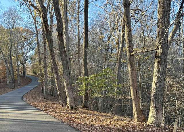 Property at Lot 56/57 Lisanby Rd, Eddyville, KY 42038
