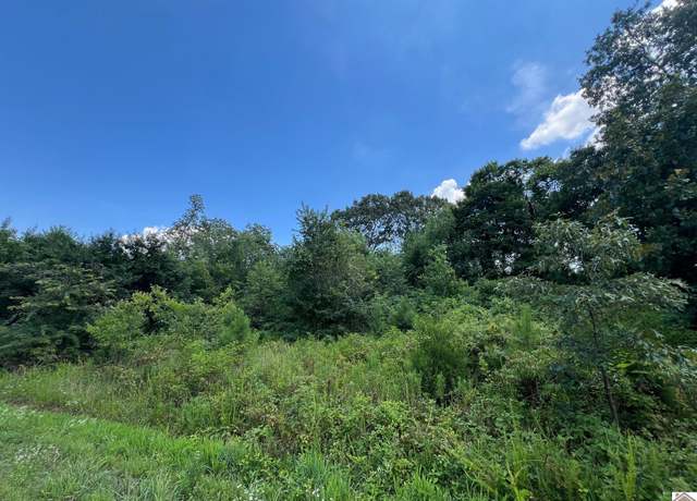 Property at Lot 58 Western Shores, Phase Iii, Murray, KY 42071