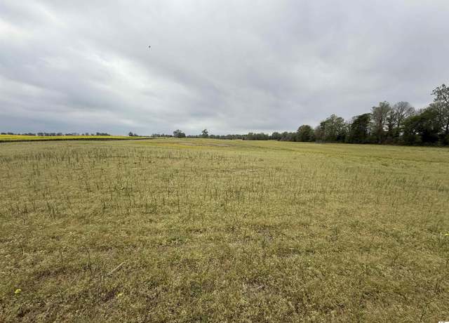 Property at County Road 1305/1306, Bardwell, KY 42023