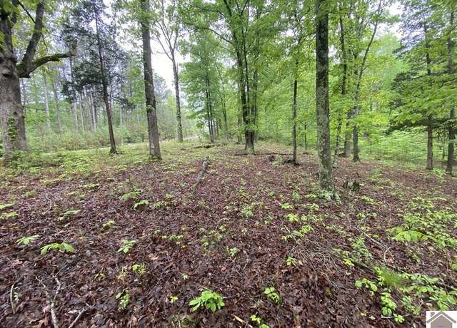 Property at Lot 100 Western Dr, Murray, KY 42071