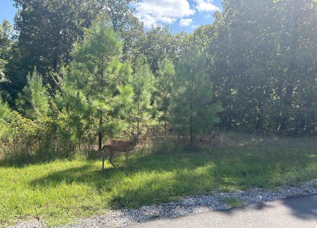 Property at 140 Centerview Rd, Murray, KY 42071