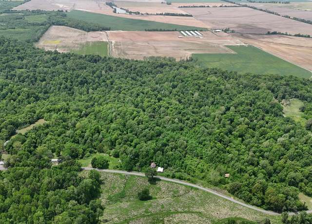 Property at 000 Bluff, Hickman, KY 42050