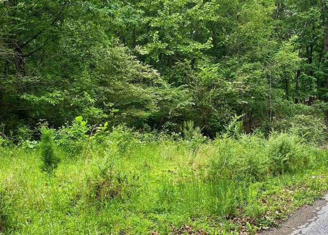 Property at 00 Tearose Dr, New Concord, KY 42076