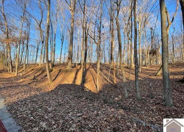 Property at 123,1718 Ferrell Cir, Cadiz, KY 42211