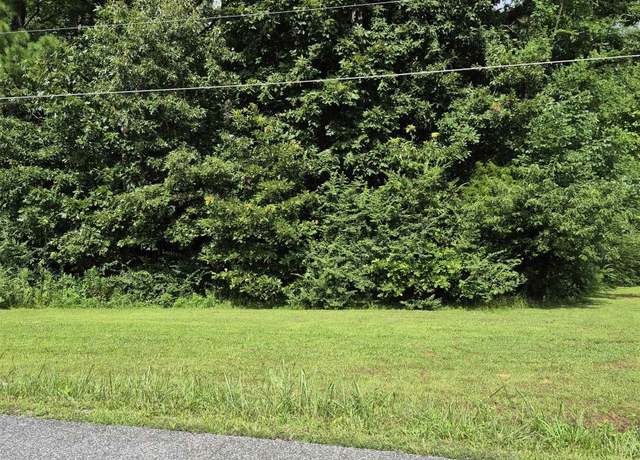 Property at Lot#273 Hawkeye Dr, Gilbertsville, KY 42044