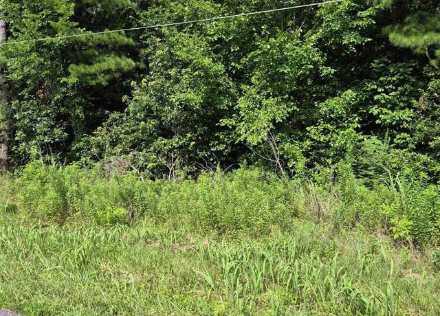 Property at Lot# 274 Hawkeye Dr, Gilbertsville, KY 42044