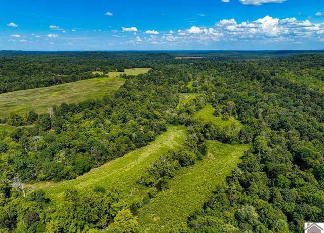 Property at 000 Travis Cemetery Rd, Marion, KY 42064