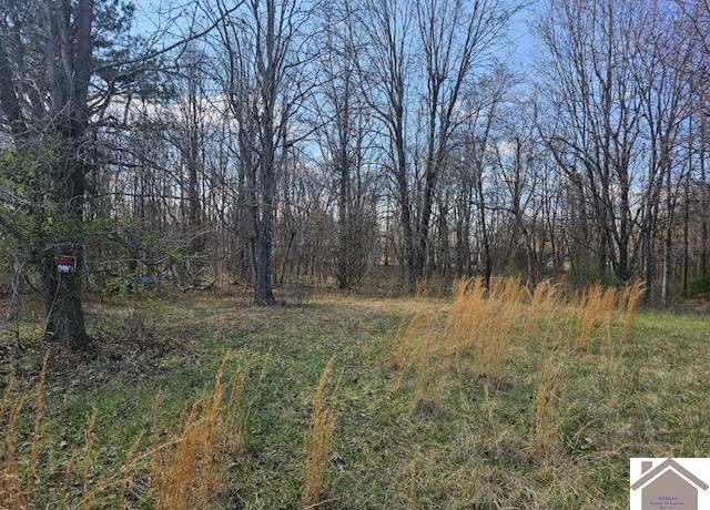 Property at 307 Ball Park Loop, Ledbetter, KY 42058