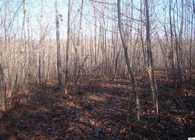 Property at 125 Jackson Ter, Cadiz, KY 42211