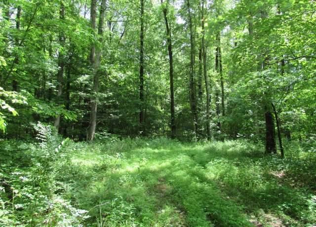 Property at Dooms Chapel Rd, Symsonia, KY 42082