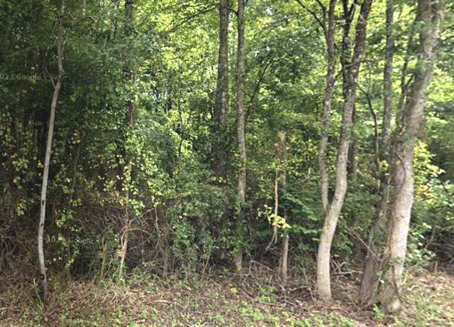 Property at 0 Speaker Trl, Murray, KY 42071