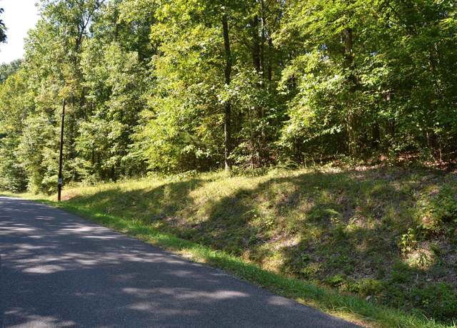 Property at Lot 1 Rolling Mills Rd, Eddyville, KY 42038