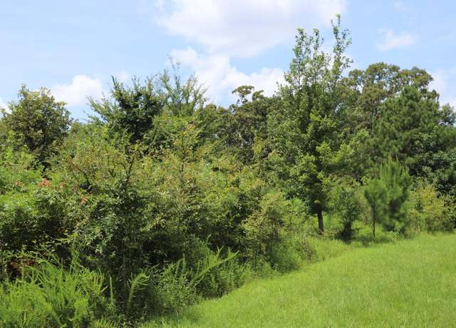 Property at Lot 58 Kirk Ridge Rd, Murray, KY 42071