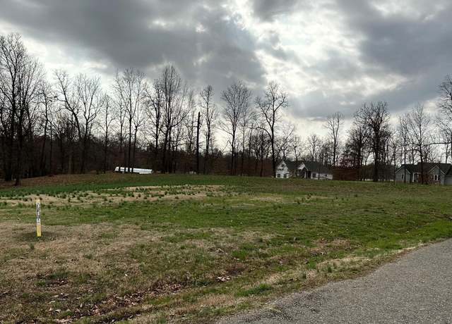 Property at Mallard Cv, Mayfield, KY 42066