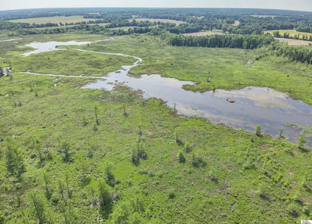Property at 000 Hwy 121, Cunningham, KY 42035