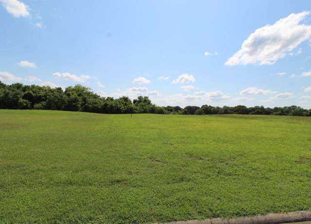 Property at 90 Torrey Pines Dr, Ledbetter, KY 42058