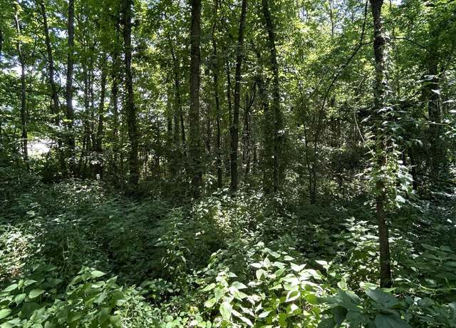 Property at 000 Maple Ln, Canton, KY 42211