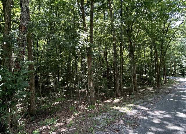 Property at 000 Cedar Ln, Canton, KY 42211