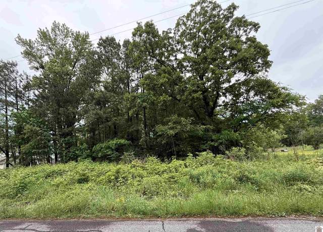 Property at 694 Green Plain Rd, Hazel, KY 42049