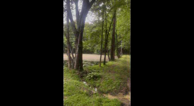 Photo of Powell Levee Rd, KY 38224