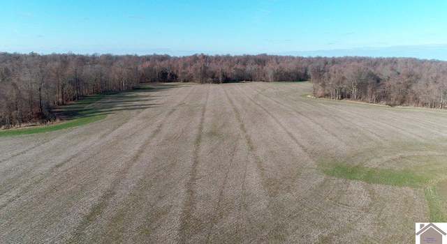 Photo of 0 County Road 1220, Bardwell, KY 42023