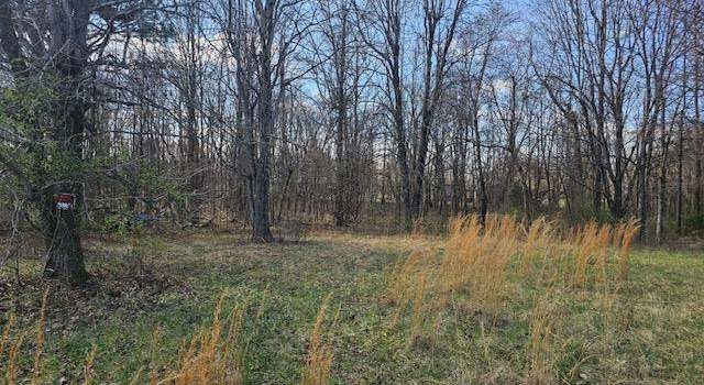 Photo of 307 Ball Park Loop, Ledbetter, KY 42058