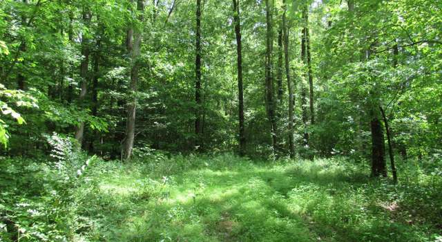 Photo of Dooms Chapel Rd, Symsonia, KY 42082