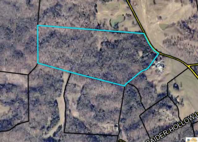Property at 734 Raider Hollow Rd, Munfordville, KY 42765