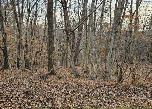 Property at Lot 51 Cherokee Rd, Lucas, KY 42156