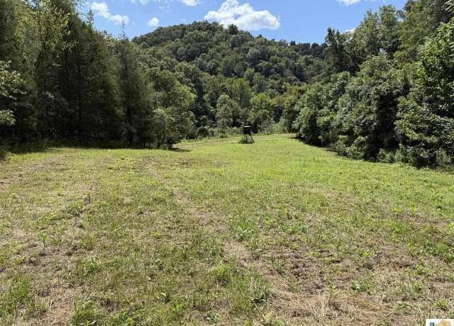 Property at Albany Rd, Burkesville, KY 42717