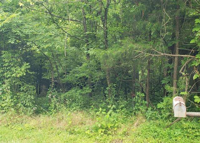 Property at 0 Mt Vernon Rd, Bonnieville, KY 42713