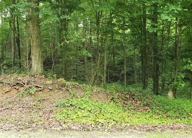 Property at 0 Pine Ridge Rd, Bonnieville, KY 42713